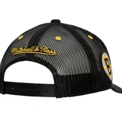 Mitchell & Ness Snapback-Team Seal Trucker Snapback Vintage Boston Bruins