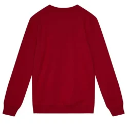 Men Mitchell & Ness Hoodies & Sweatshirts-Team Wordmark 1 Crew Atlanta Falcons