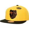 Mitchell & Ness Snapback-90Th Snapback Boston Bruins