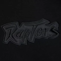 Men Mitchell & Ness Hoodies & Sweatshirts-Tonal Logo Heavyweight Fleece Toronto Raptors