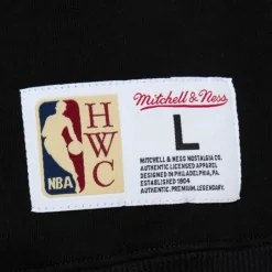 Men Mitchell & Ness Hoodies & Sweatshirts-Tonal Logo Heavyweight Fleece Toronto Raptors