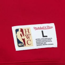 Men Mitchell & Ness Hoodies & Sweatshirts-Tonal Logo Heavyweight Fleece Chicago Bulls