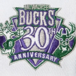 Mitchell & Ness Snapback-Toss Up Snapback Hwc Milwaukee Bucks