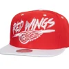Mitchell & Ness Snapback-Transcript Snapback Vntg Detroit Red Wings