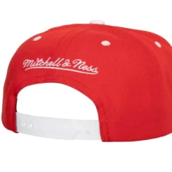 Mitchell & Ness Snapback-Transcript Snapback Vntg Detroit Red Wings