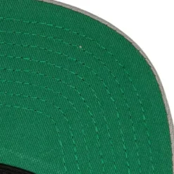 Mitchell & Ness Snapback-Transcript Snapback Vntg Los Angeles Kings