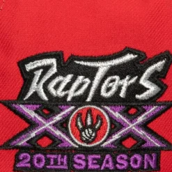 Mitchell & Ness Fitted-Tri Cycle Fitted Hat Toronto Raptors