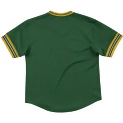 Men Mitchell & Ness T-Shirts & Tops-Unbeaten Mesh V-Neck Green Bay Packers