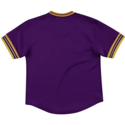 Men Mitchell & Ness T-Shirts & Tops-Unbeaten Mesh V-Neck Los Angeles Lakers