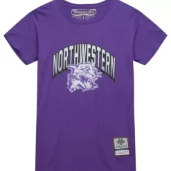 Men Mitchell & Ness T-Shirts & Tops-University Arch Logo Ls Tee Northwestern University