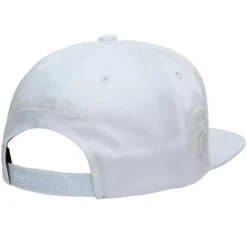 Mitchell & Ness Snapback-Uv Reactive Snapback Toronto Raptors