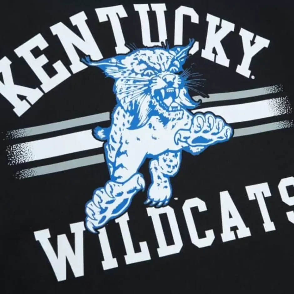 Men Mitchell & Ness Hoodies & Sweatshirts-Vintage Stripes Pullover University Of Kentucky