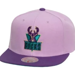 Mitchell & Ness Snapback-Violet Views Snapback Hwc Milwaukee Bucks