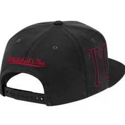 Mitchell & Ness Snapback-Winner Circle Snapback Toronto Raptors