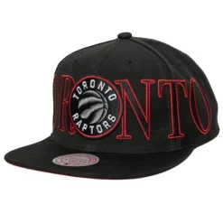 Mitchell & Ness Snapback-Winner Circle Snapback Toronto Raptors