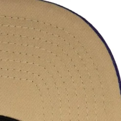 Mitchell & Ness Snapback-With Love Snapback Hwc Toronto Raptors