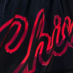 Woman Mitchell & Ness Shorts-Womens Big Face 4.0 Shorts Chicago Bulls