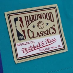 Woman Mitchell & Ness T-Shirts & Tops-Womens N&N Jersey Dress Charlotte Hornets 1992 Larry Johnson