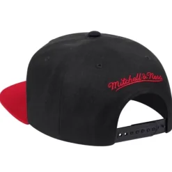 Mitchell & Ness Snapback-Wool 2 Tone Snapback Toronto Raptors