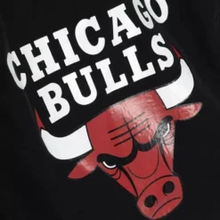 Men Mitchell & Ness Shorts-Woven Shorts Chicago Bulls