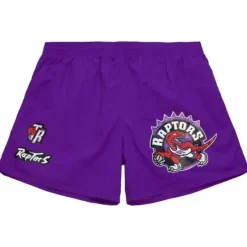 Men Mitchell & Ness Shorts-Woven Shorts Toronto Raptors