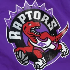 Men Mitchell & Ness Shorts-Woven Shorts Toronto Raptors